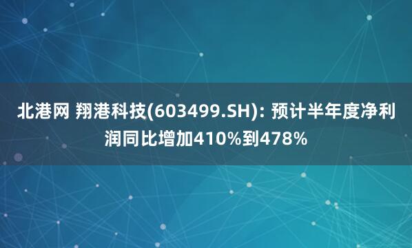 北港网 翔港科技(603499.SH): 预计半年度净利润同比增加410%到478%