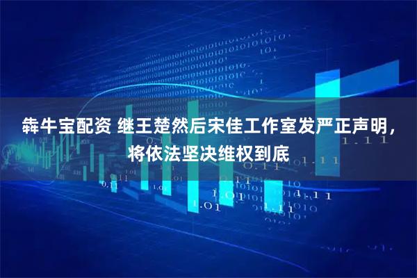 犇牛宝配资 继王楚然后宋佳工作室发严正声明，将依法坚决维权到底