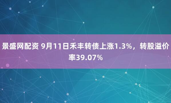 景盛网配资 9月11日禾丰转债上涨1.3%，转股溢价率39.07%